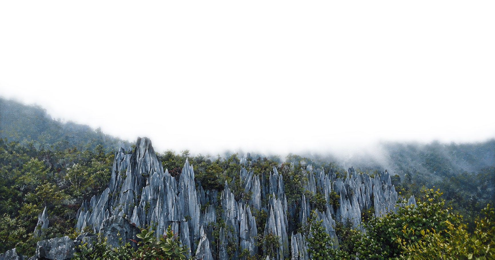 Painting of limestone pinnacles rising from rainforest in Sarawak